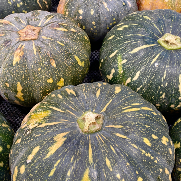 Organic Pumpkin - Jap/Kent 1kg