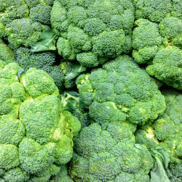 Organic Bulk Broccoli