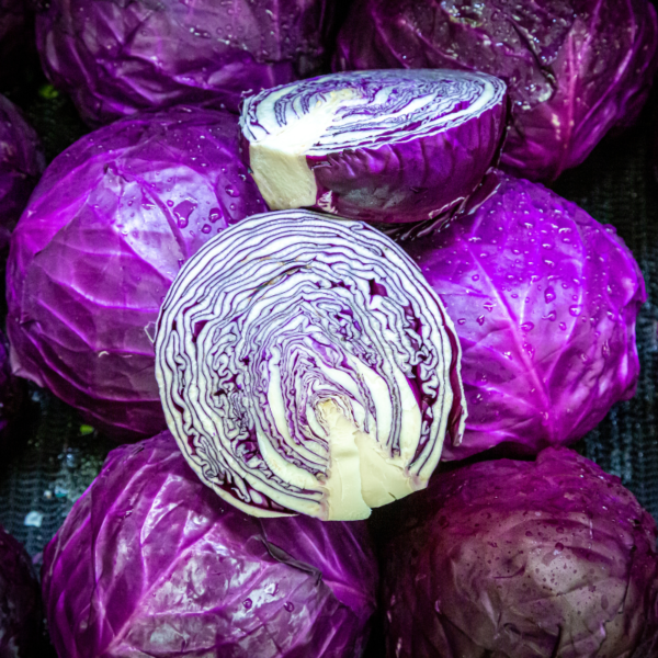 Organic Cabbage - Red